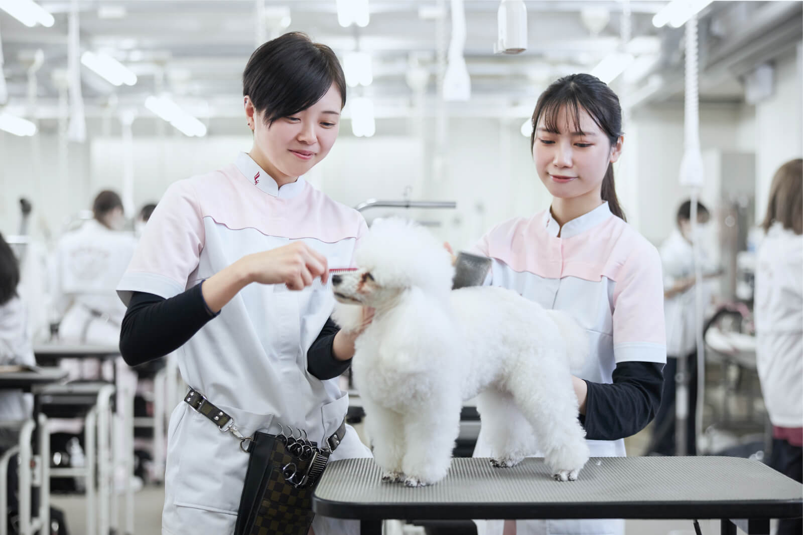 穴吹動物看護カレッジ 専門学校 穴吹カレッジグループ 高松