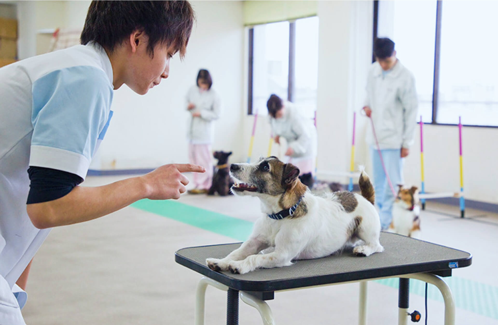 動物健康管理学科 しつけインストラクター専攻 穴吹動物看護カレッジ 専門学校 穴吹カレッジグループ 高松