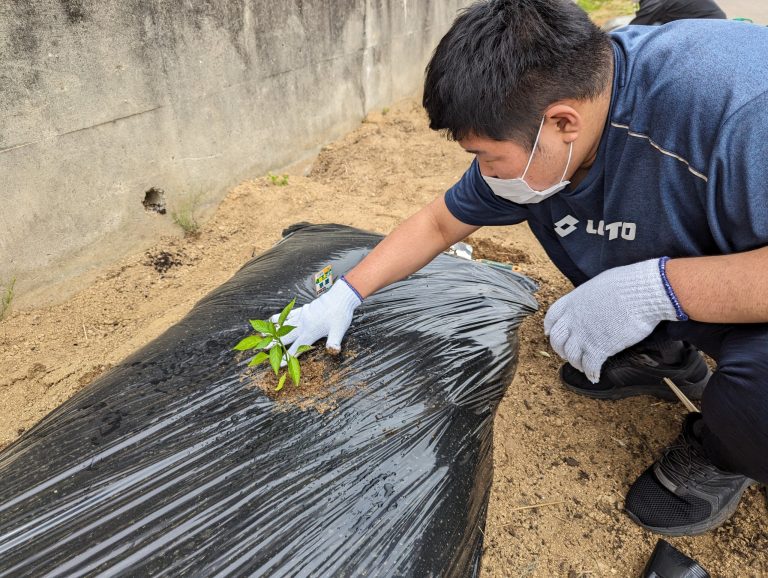 作業療法学科2年・園芸にチャレンジ①