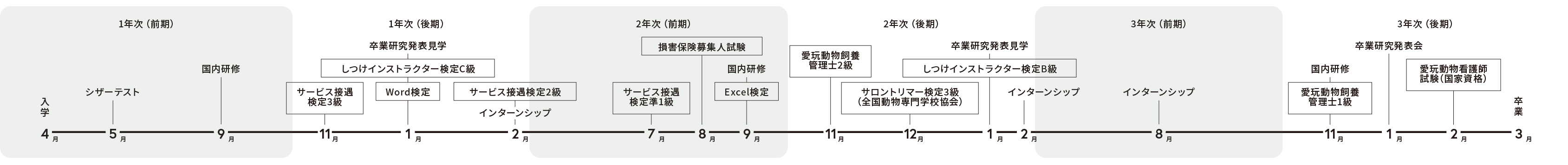 年間スケジュール