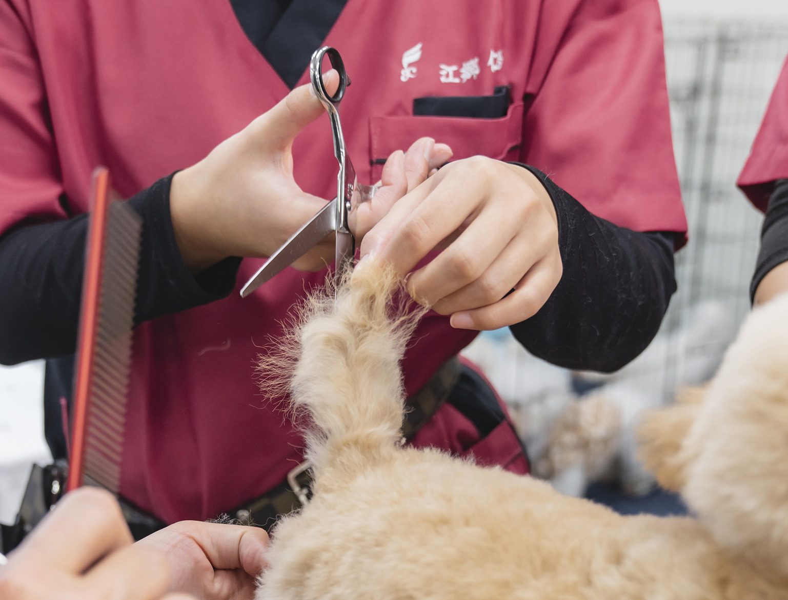 実践を通じて成長！夢をサポートする教育環境