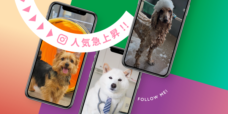 人気上昇中!穴吹動物看護カレッジInstagram紹介♪