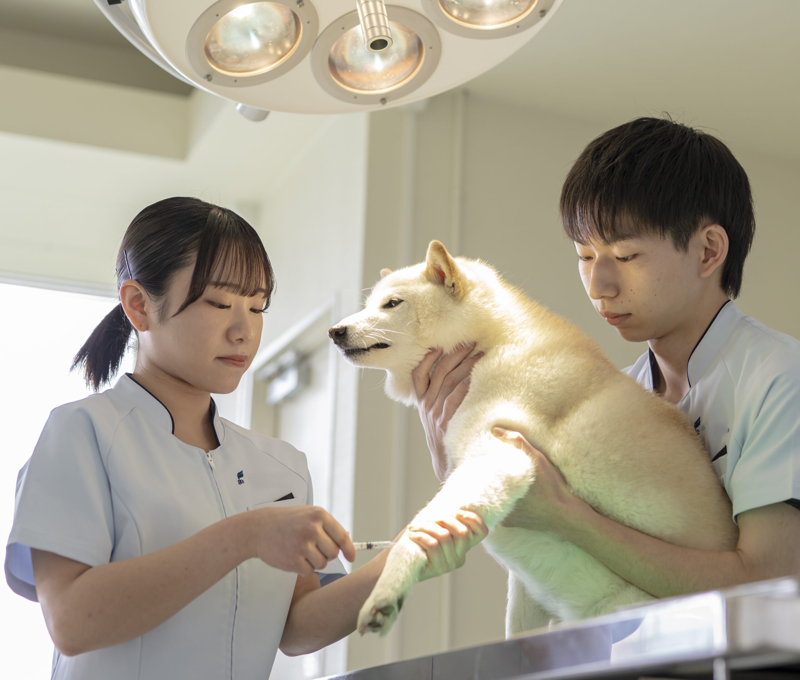 ■②  『愛玩動物看護師』合格率90％越え■