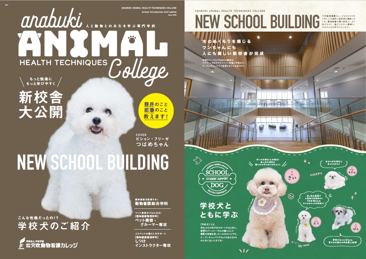 ◇最新版学校紹介リーフレット◇