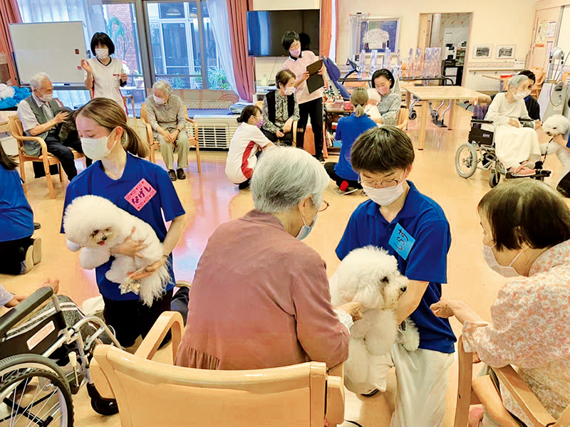 動物介在活動( A A A )