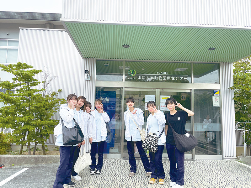 2つの大学で最先端の獣医学に触れられる