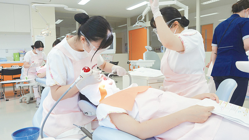全国でも有数の国家試験合格実績！