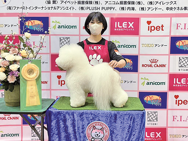全国トリミングコンテストで入賞をめざす