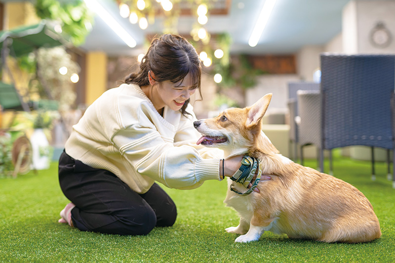 全国的にも珍しい!パートナードッグ制度で 仔犬と共に成長できる