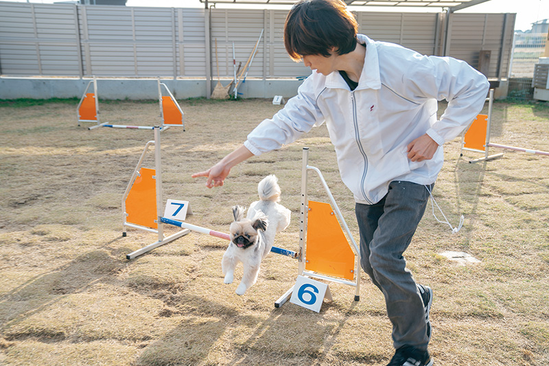 ペットビジネス市場拡大と ともに広がる就職先