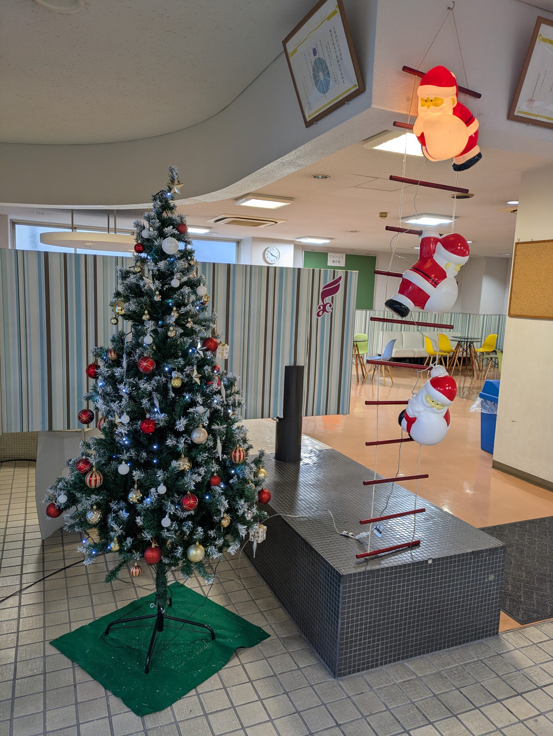 🎄✨校内にクリスマスがやってきました✨🎅