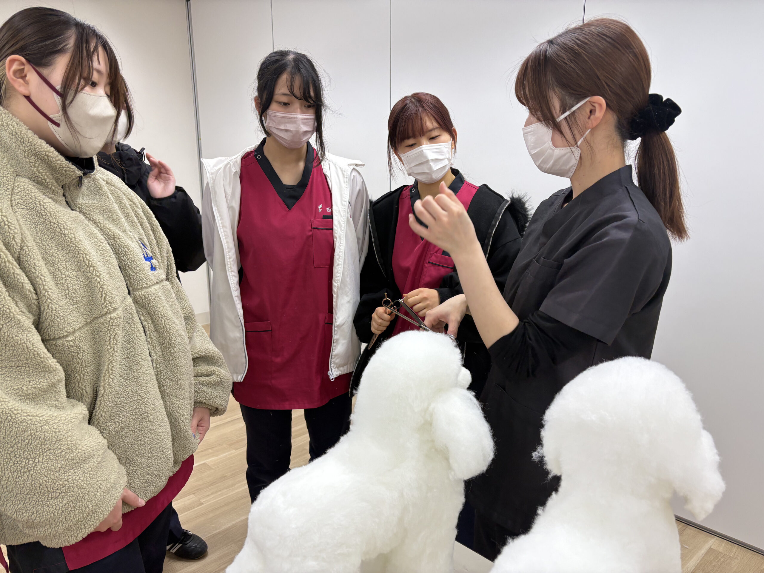 教えて野﨑先生！