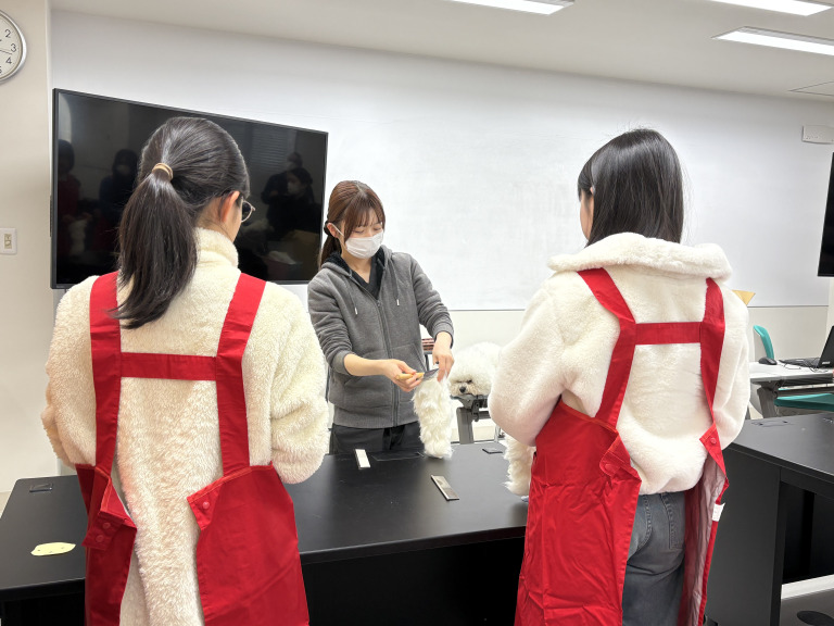 高松中央高校のみんながトリマー体験！