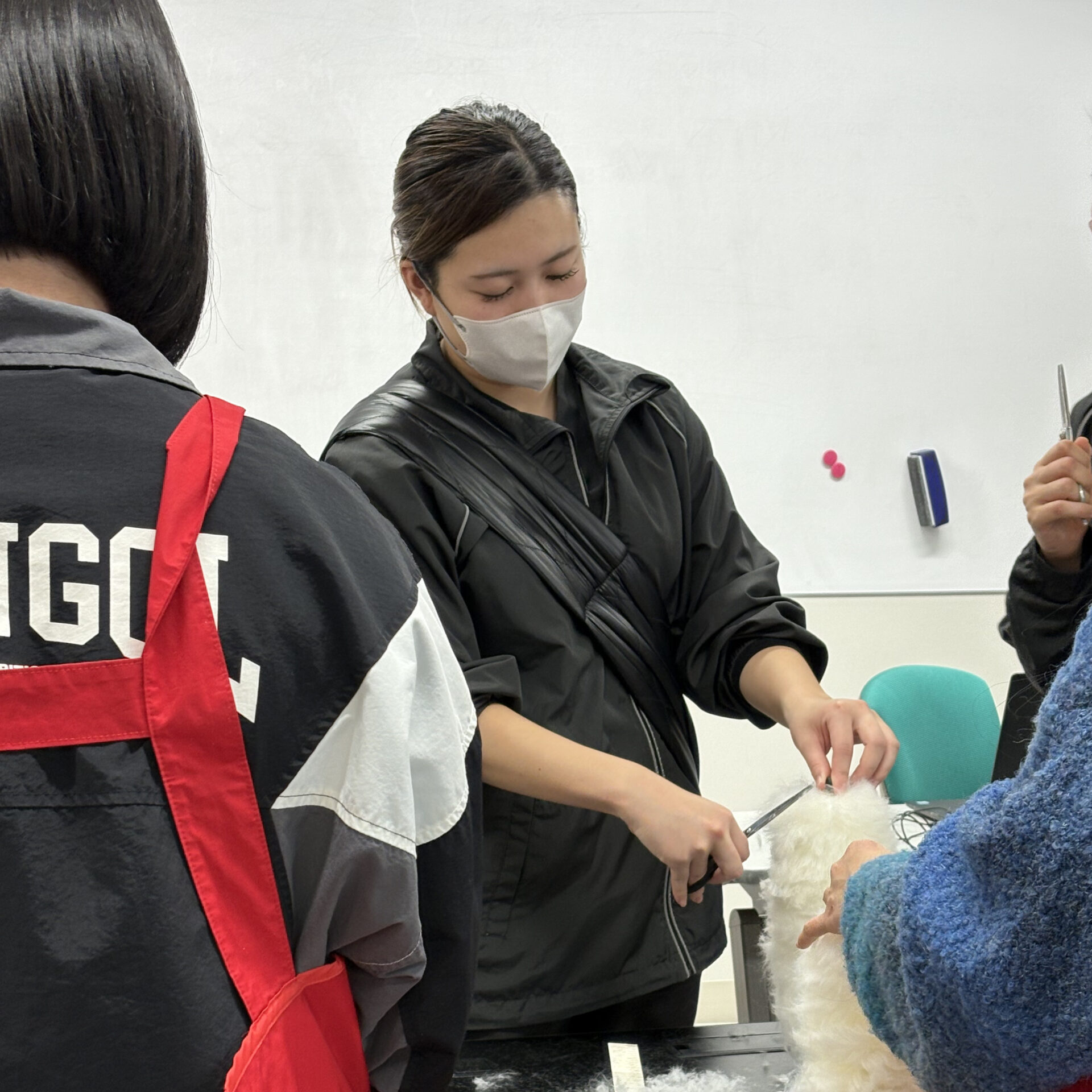 わんちゃんの美容のプロ