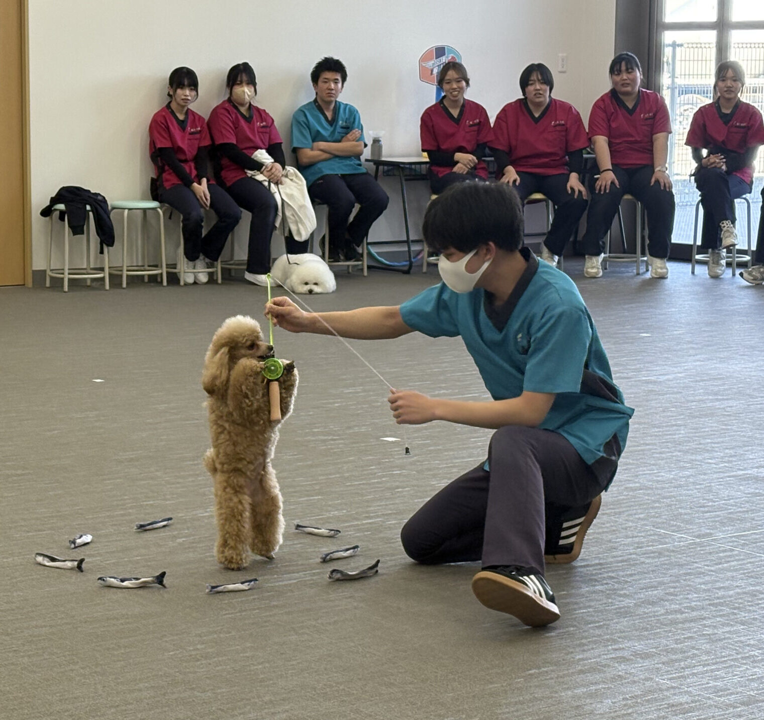 個性あふれる珍芸を披露！