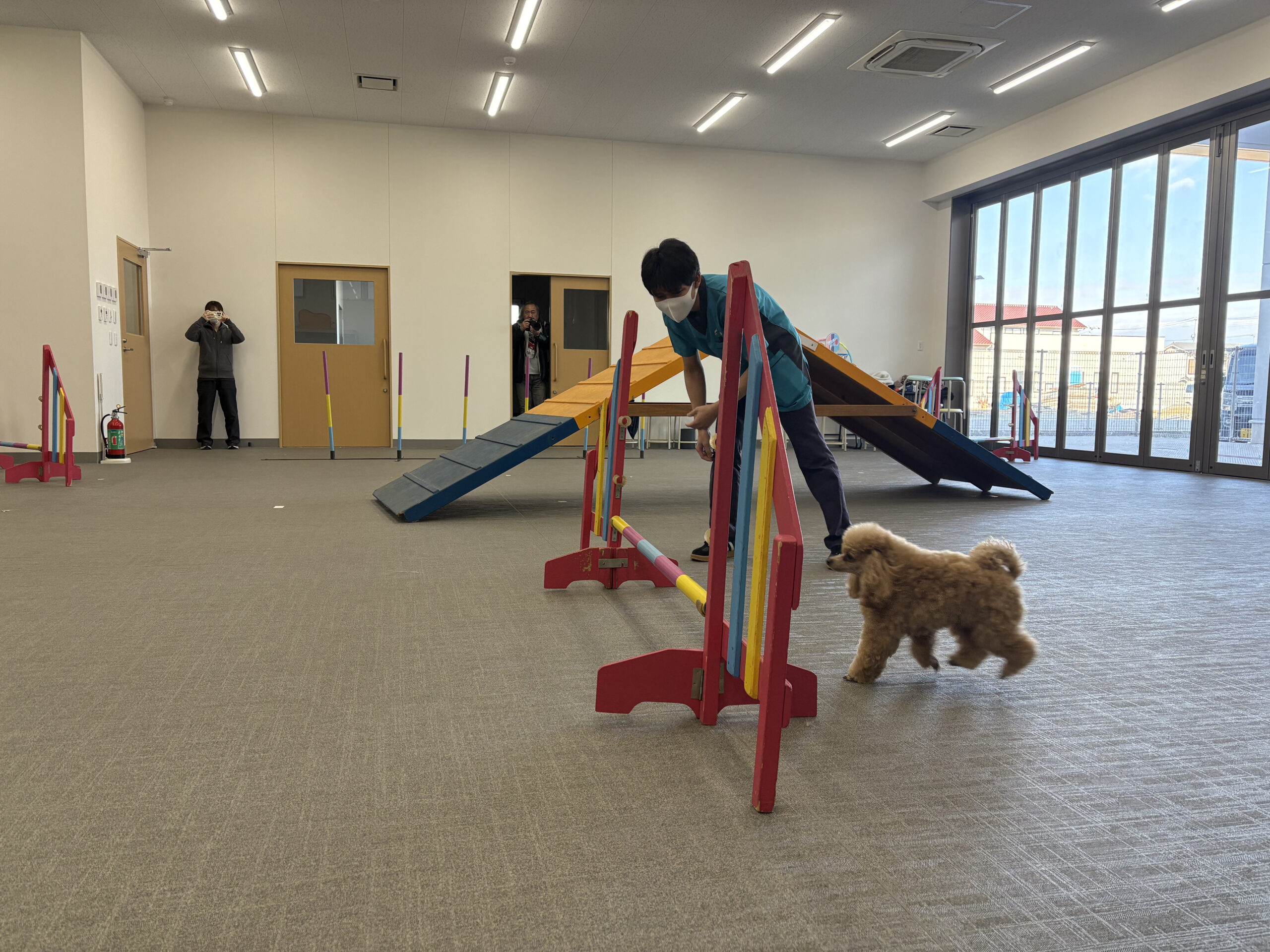 アジリティにチャレンジ！