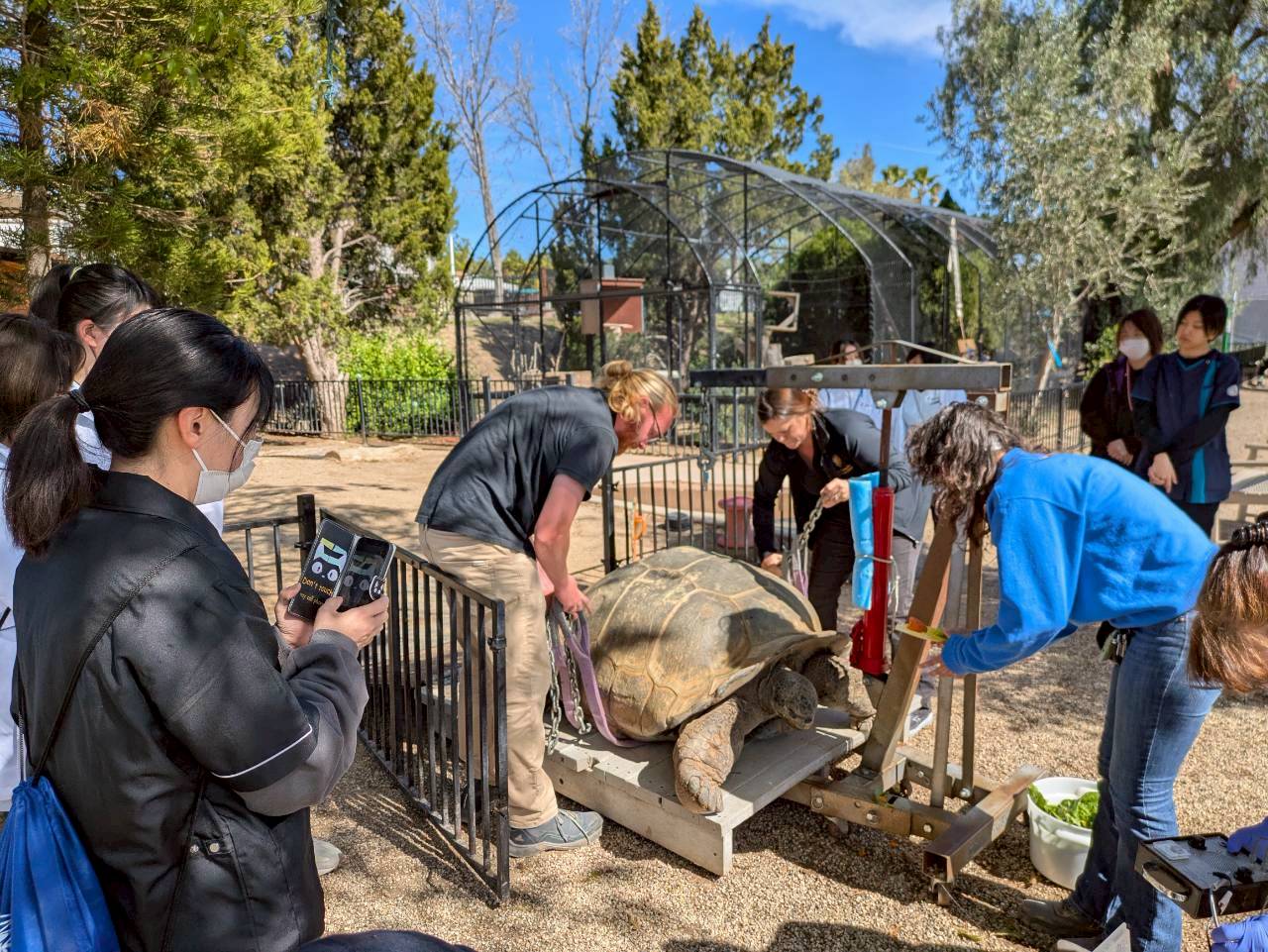 ムーアパークカレッジで研修