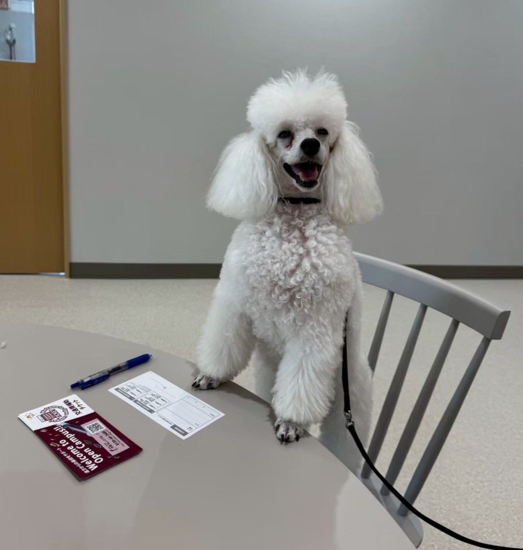 まずはオープンキャンパス！