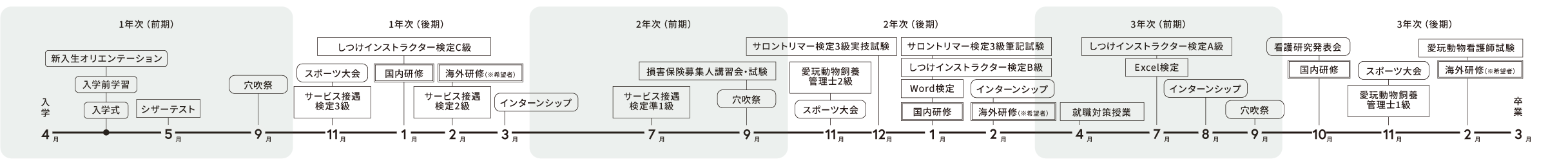 年間スケジュール