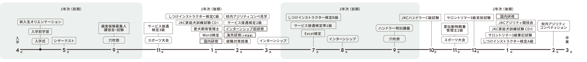 年間スケジュール