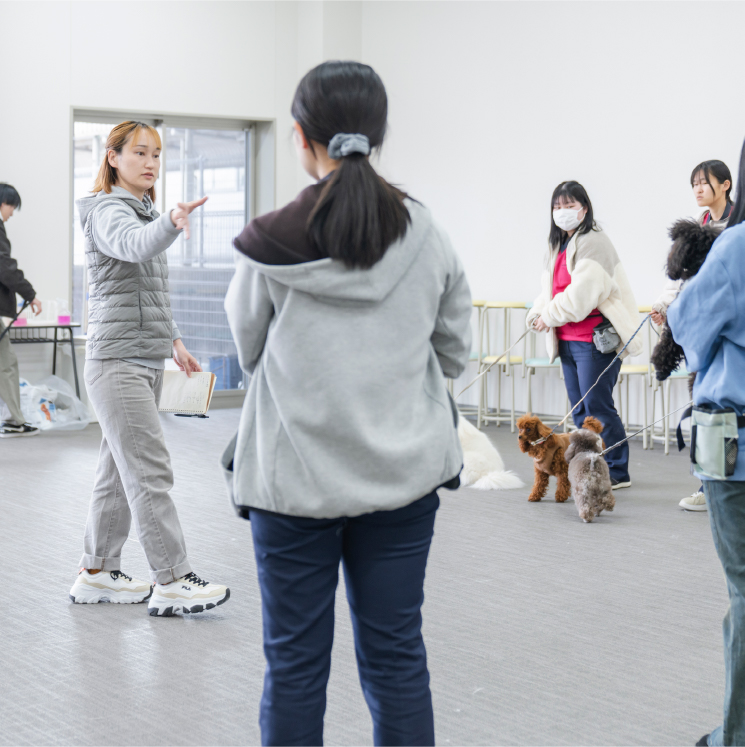 7/18（土）<br>授業見学＆子犬のパートナードッグに会おう！