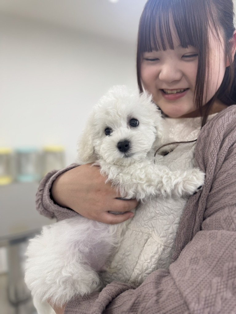 パートナードッグ引き渡しの日【動物健康管理学科しつけインストラクター専攻】