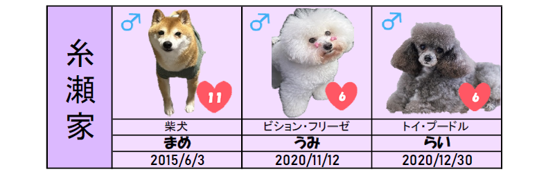 糸瀬家