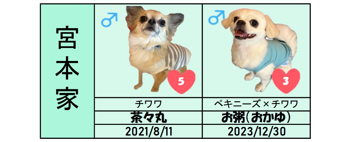 宮本家