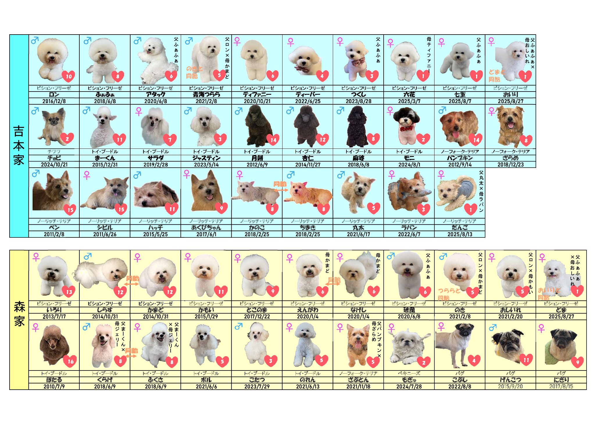 学校犬図鑑2026