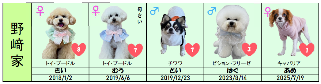 野﨑家